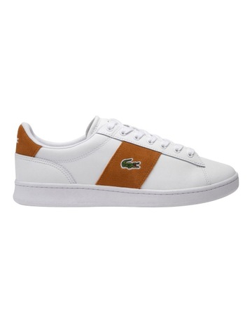 White/Brown colour