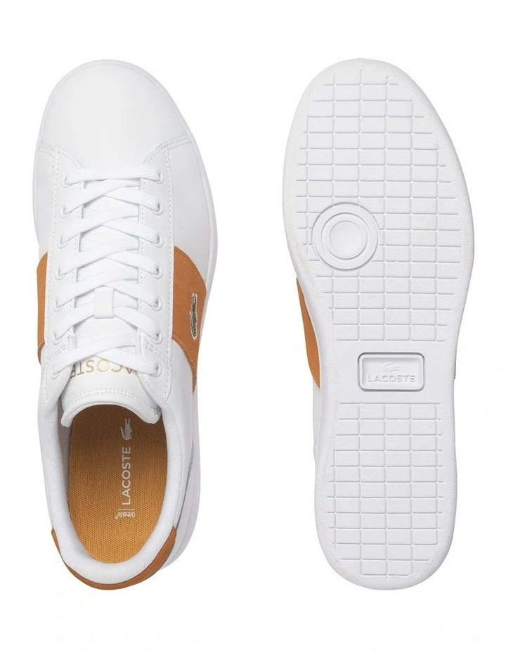 Carnaby Set Cgr 2251 Sma Sneaker in White/Brown image 4