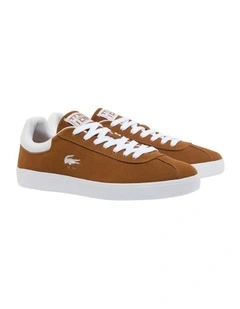 Baseshot Sma Sneaker in Brown