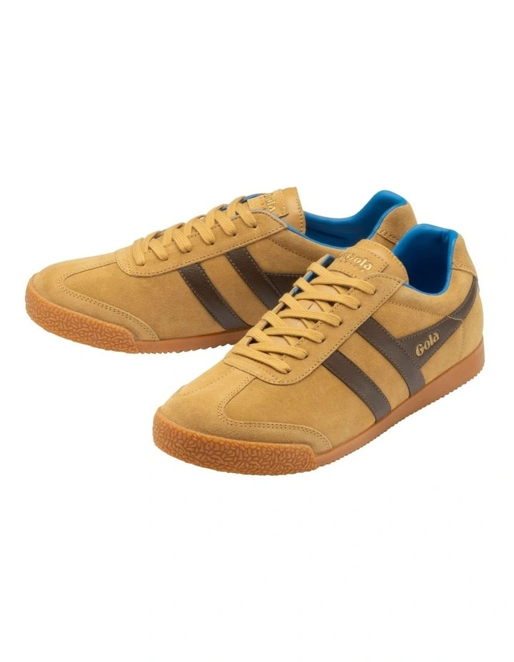 Harrier Sneaker Sneaker in Mustard/Otter/Pacific image 3