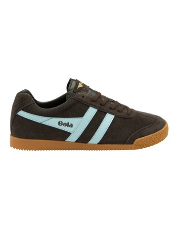 Dark Brown/Pale Blue colour