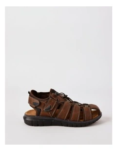 Sergio Sandal in Brown