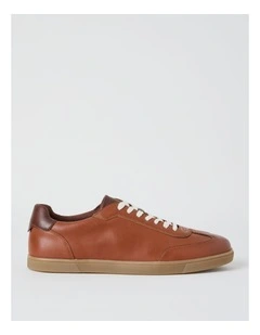 Webster Sneaker in Dark Tan