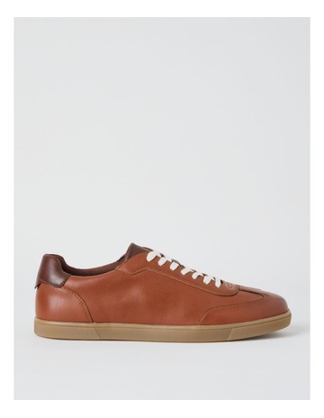 Dark Tan colour