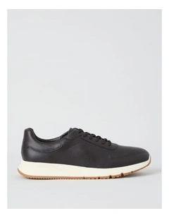 York Trainer in Brown