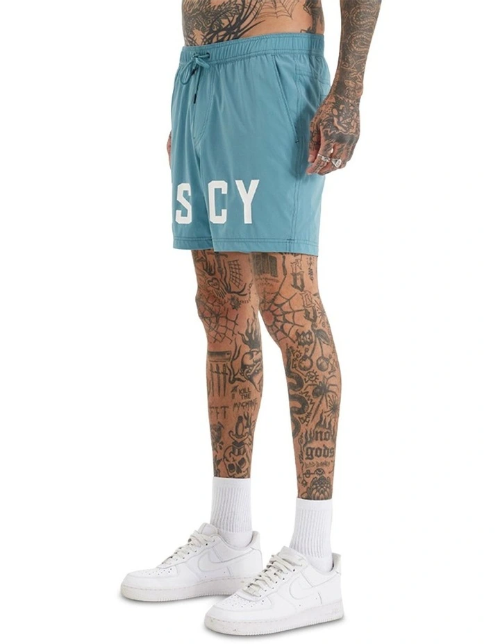 Bronant  Beach Shorts in Brittany Blue image 3