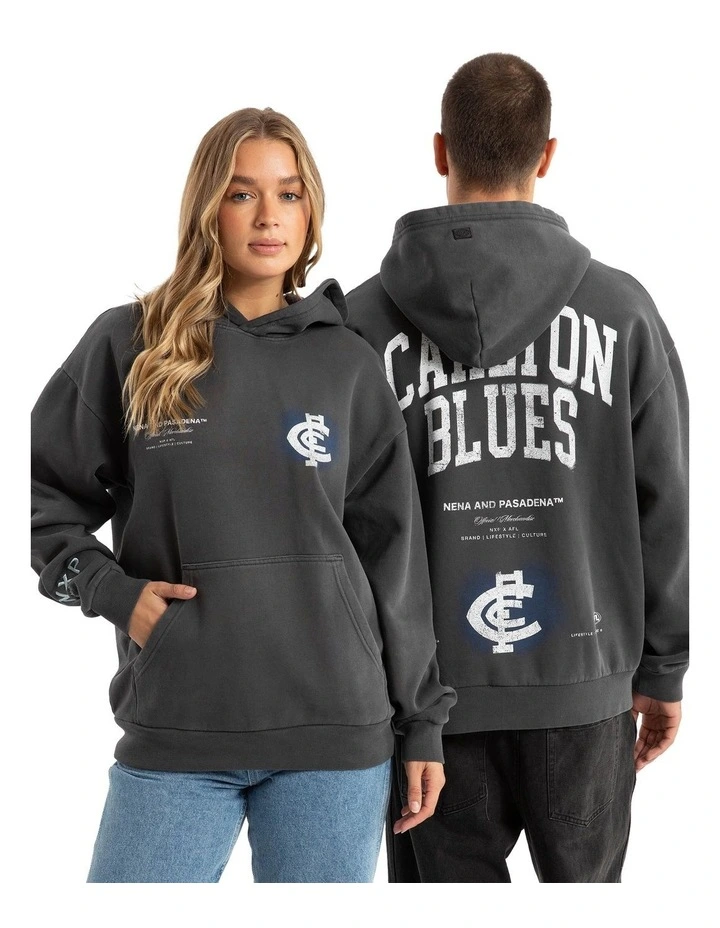 Carlton Vintage Hoodie in Pigment Asphalt image 2