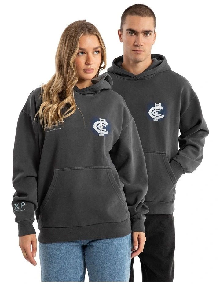 Carlton Vintage Hoodie in Pigment Asphalt image 3
