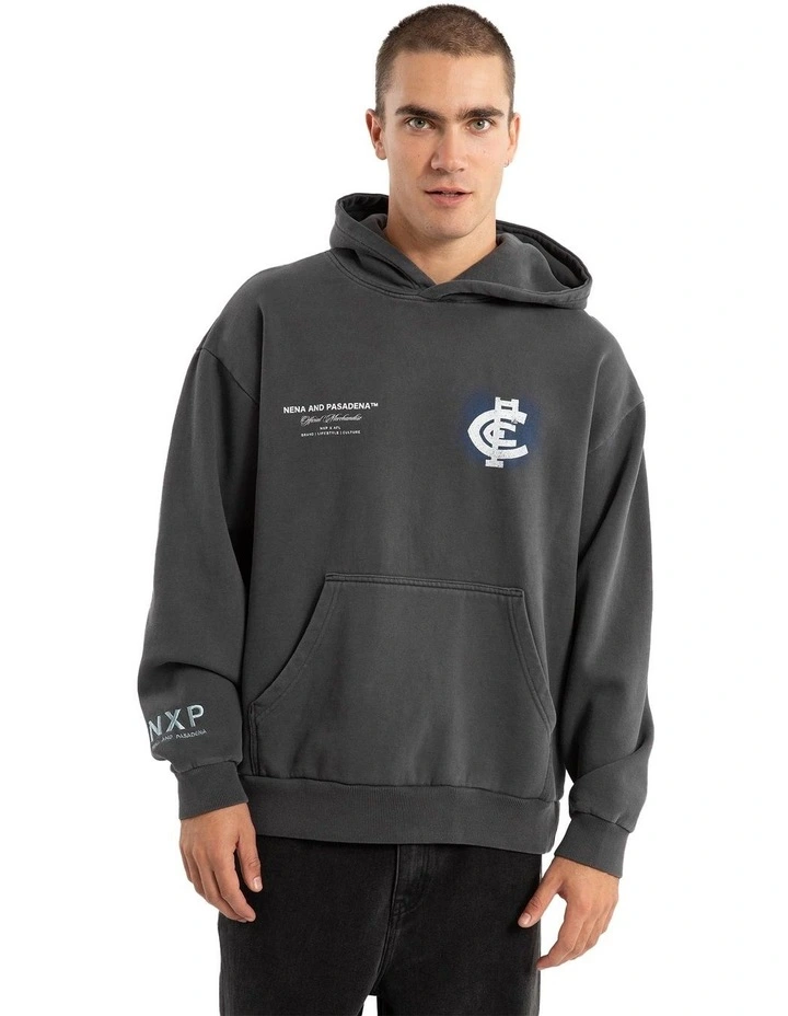 Carlton Vintage Hoodie in Pigment Asphalt image 4