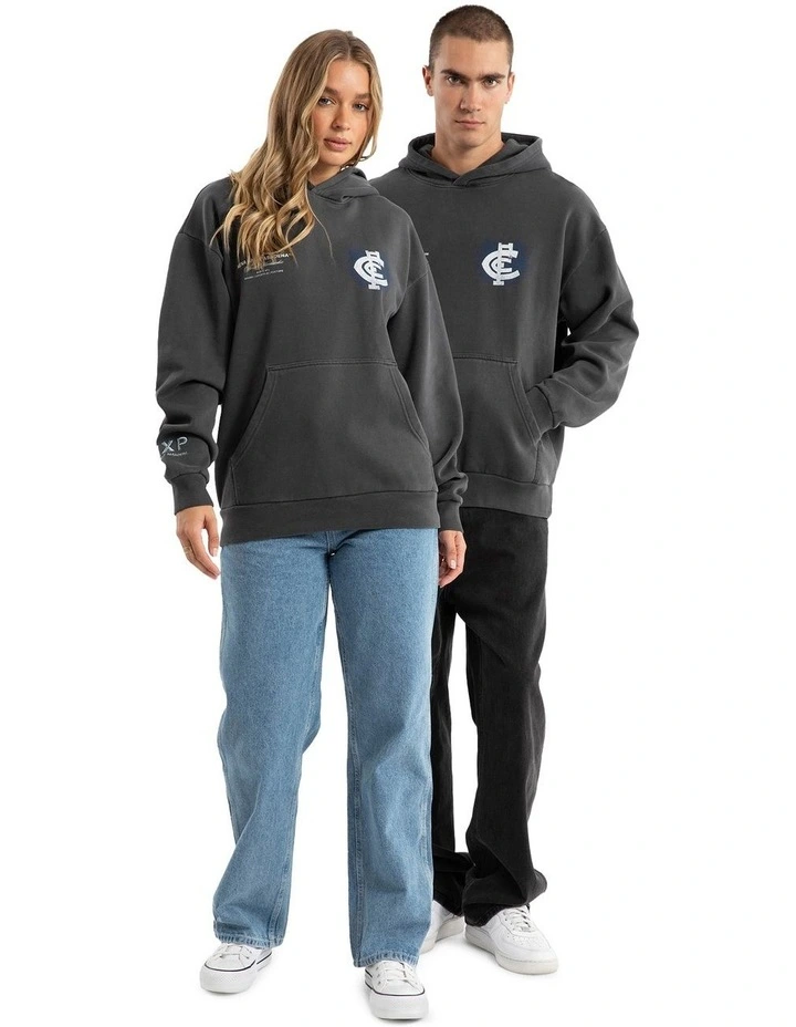 Carlton Vintage Hoodie in Pigment Asphalt image 7
