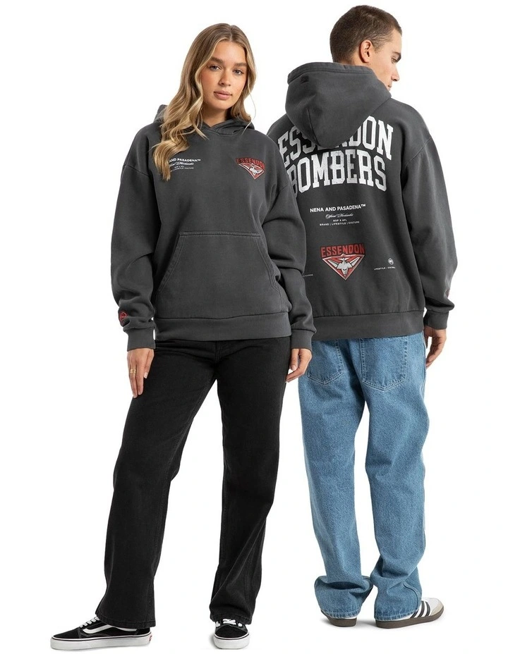 Essendon Vintage Hoodie in Pigment Asphalt image 3