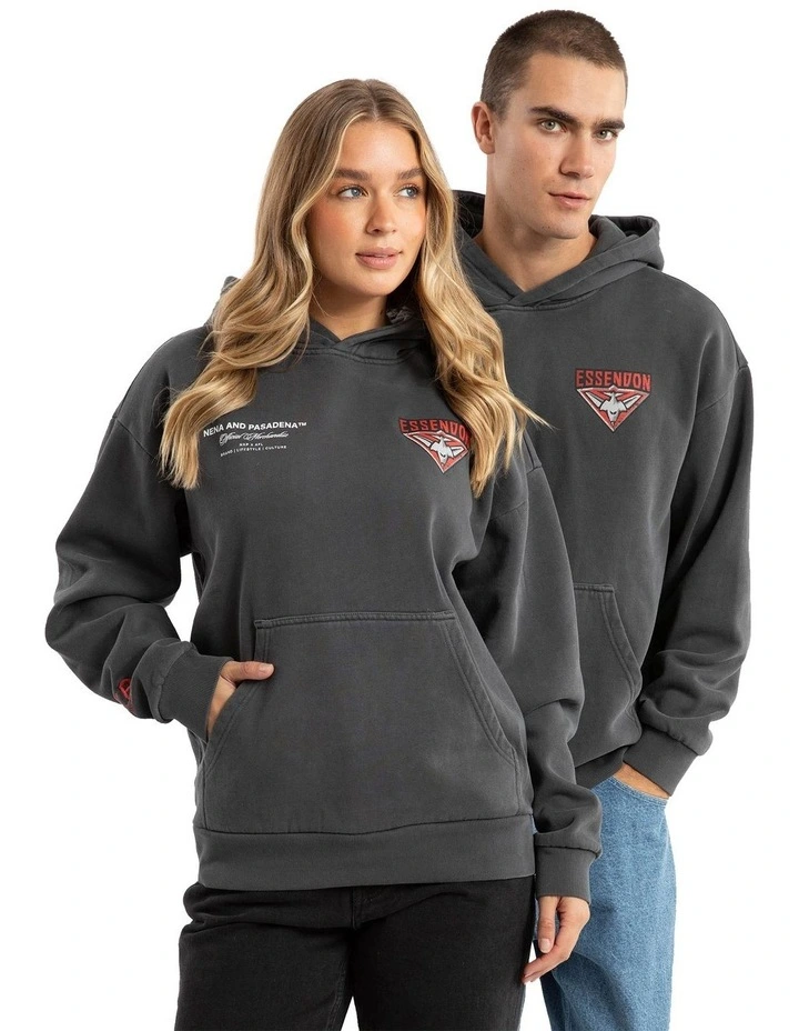 Essendon Vintage Hoodie in Pigment Asphalt image 4