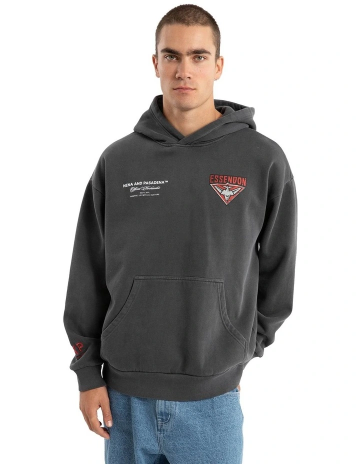 Essendon Vintage Hoodie in Pigment Asphalt image 5