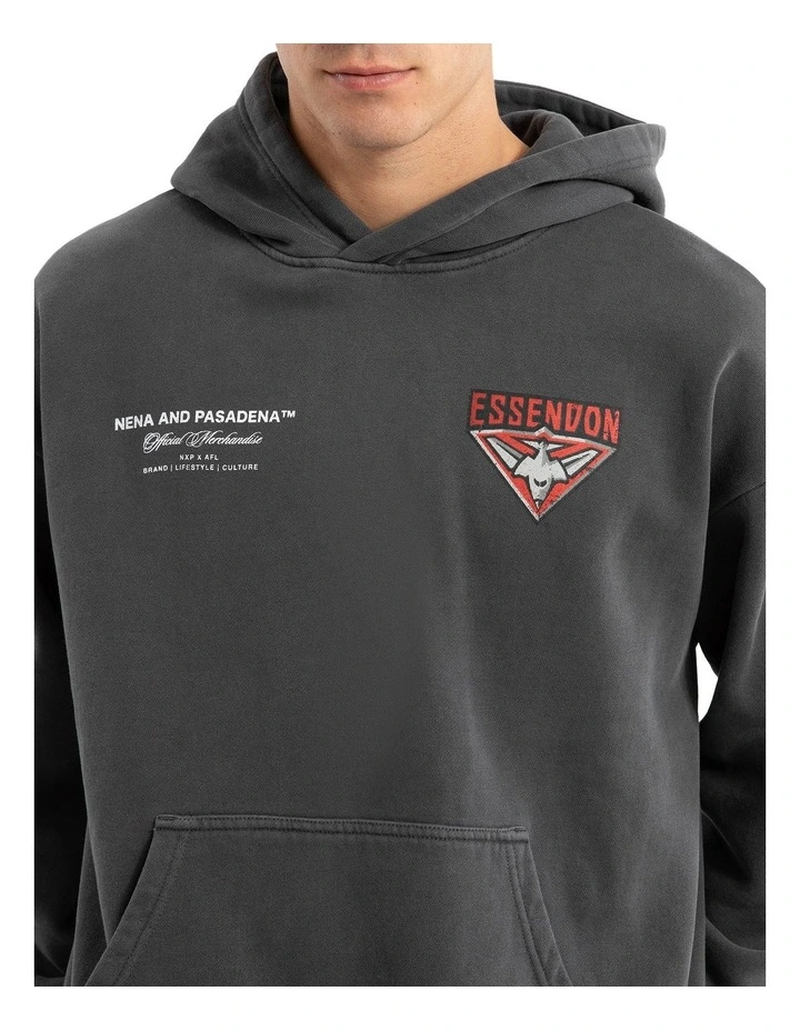 Essendon Vintage Hoodie in Pigment Asphalt image 6