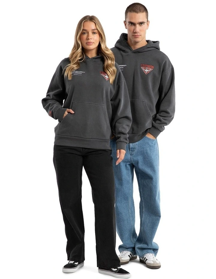 Essendon Vintage Hoodie in Pigment Asphalt image 7