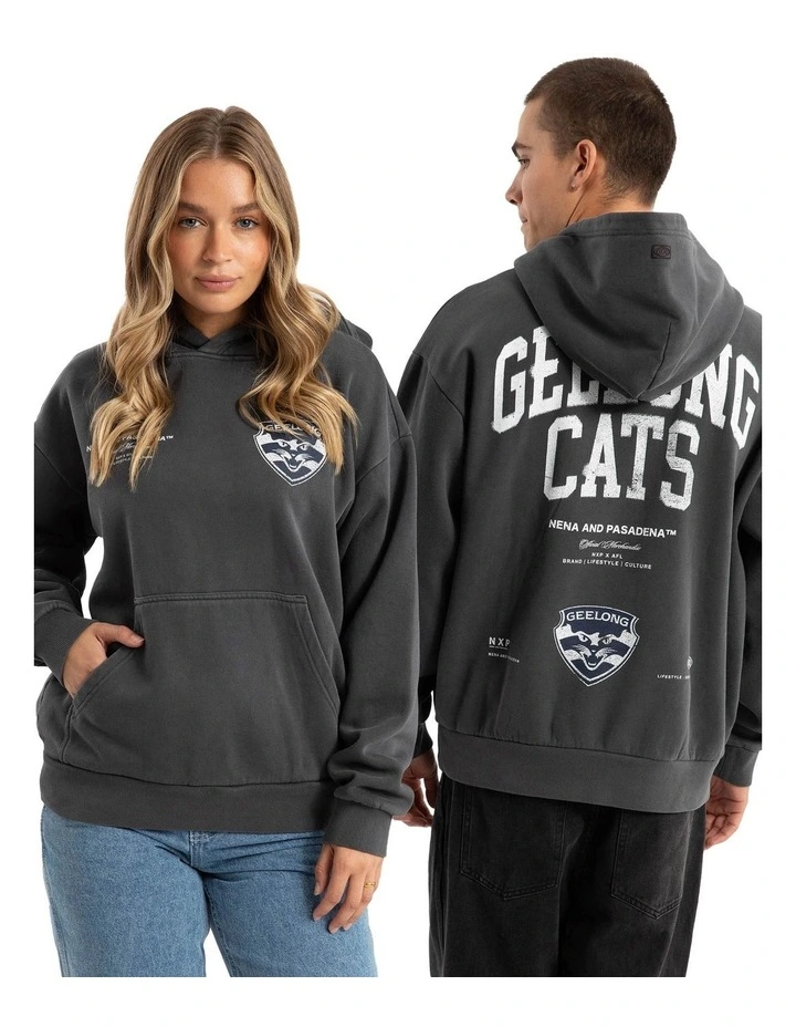 Geelong Vintage Hoodie in Pigment Asphalt image 4
