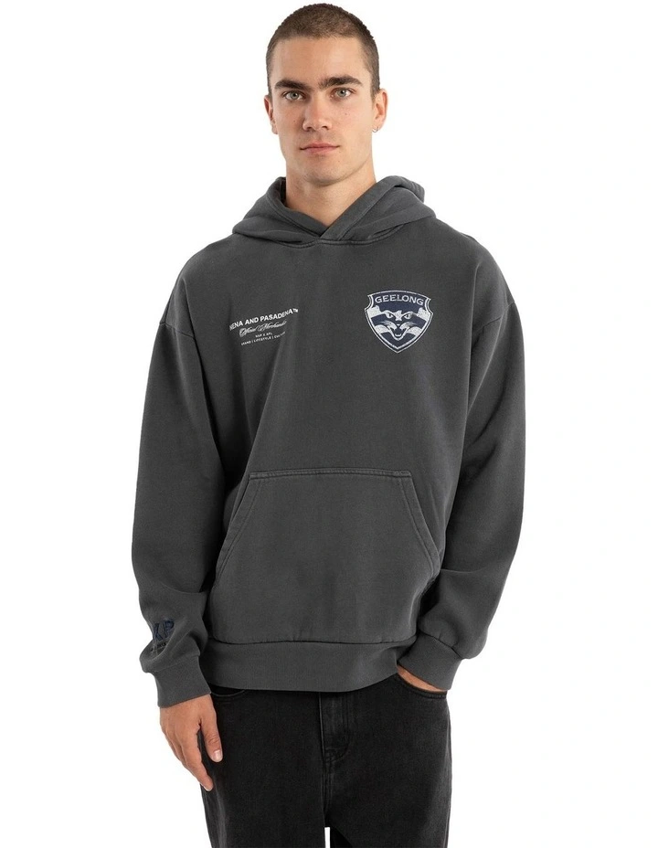 Geelong Vintage Hoodie in Pigment Asphalt image 5