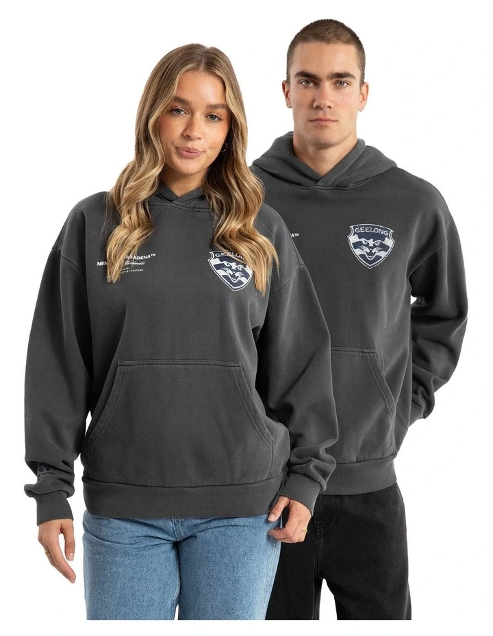 Geelong Vintage Hoodie in Pigment Asphalt image 7