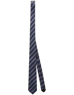 Stripe Tie in Blue