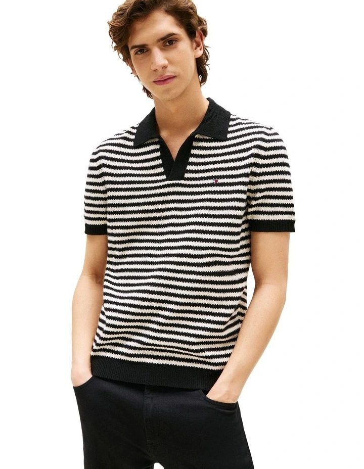 Stripe Textured Knit Polo Shirt in Blue image 1