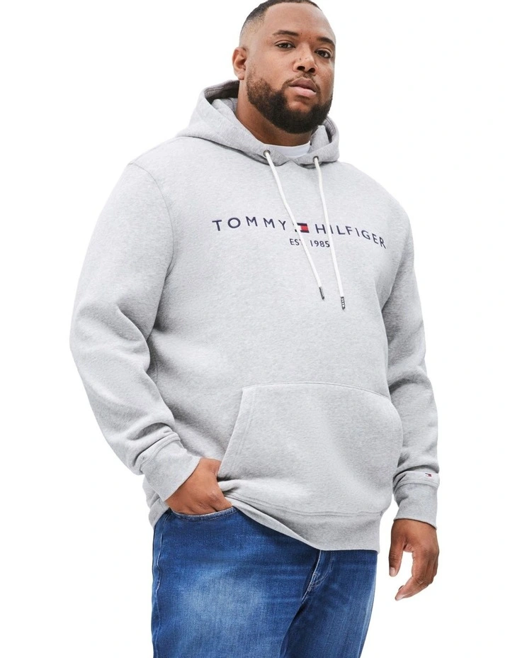 Big & Tall Logo Embroidery Drawstring Hoodie in Grey image 1