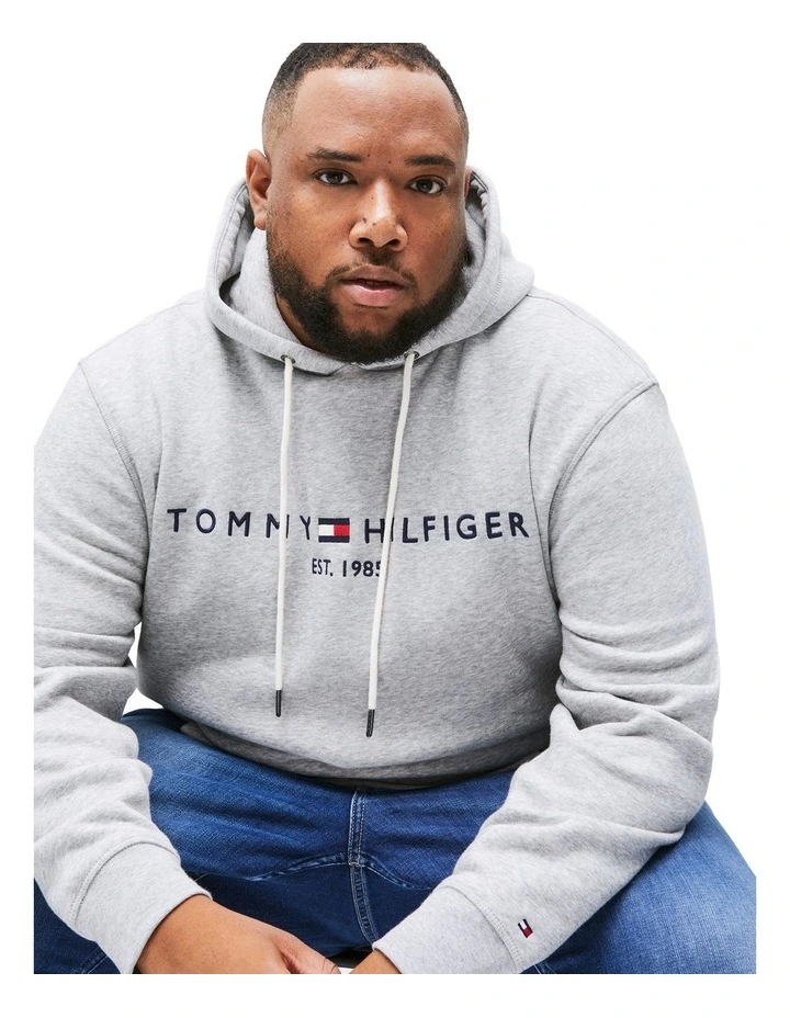 Big & Tall Logo Embroidery Drawstring Hoodie in Grey image 4