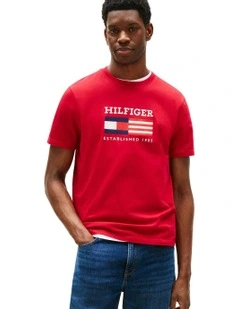 Americana Flag Box Tee in Red