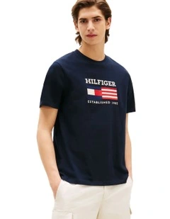 Americana Flag Box Tee in Blue
