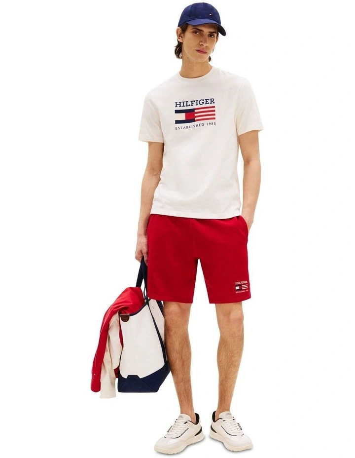 Americana Flag Box Tee in White image 4