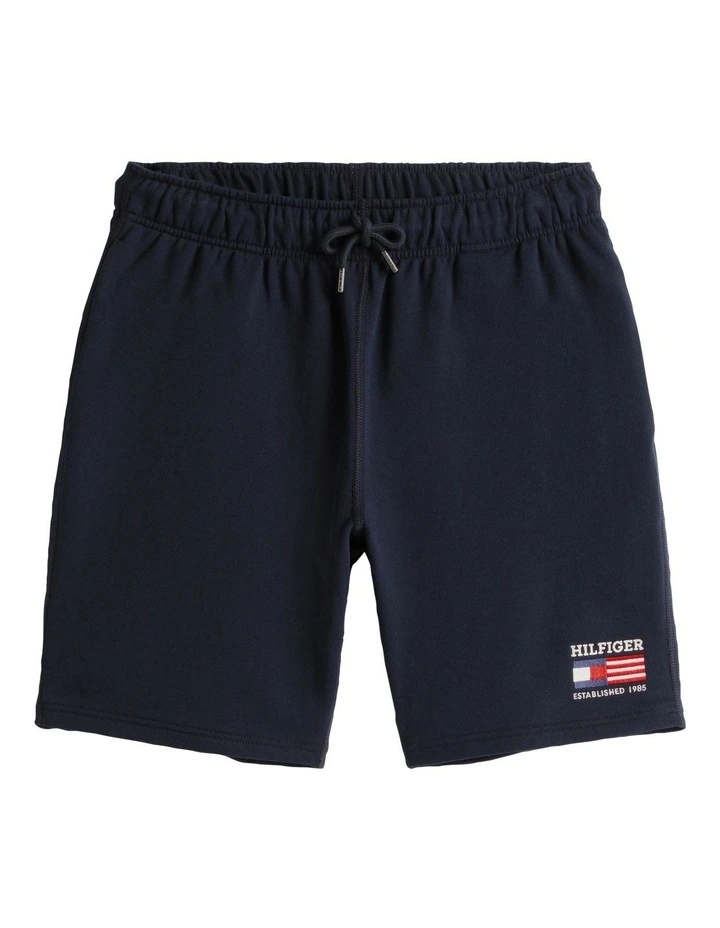 Americana Shorts in Blue image 7
