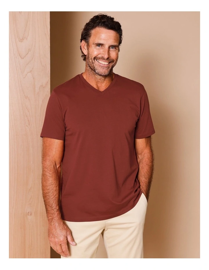 Brixton Plain V-Neck T-Shirt in Rust image 1
