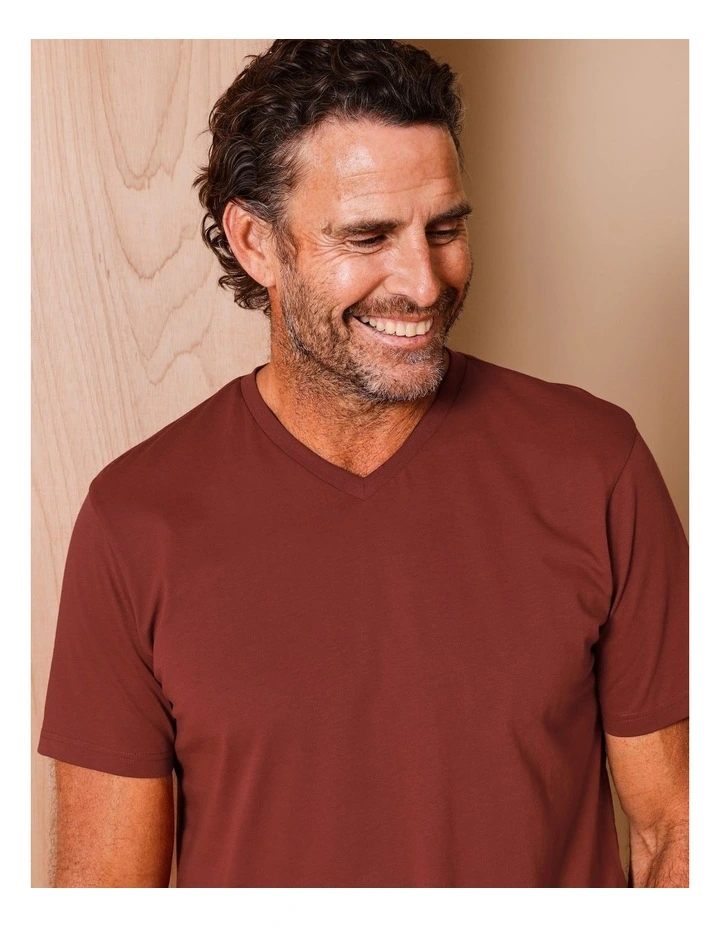 Brixton Plain V-Neck T-Shirt in Rust image 2
