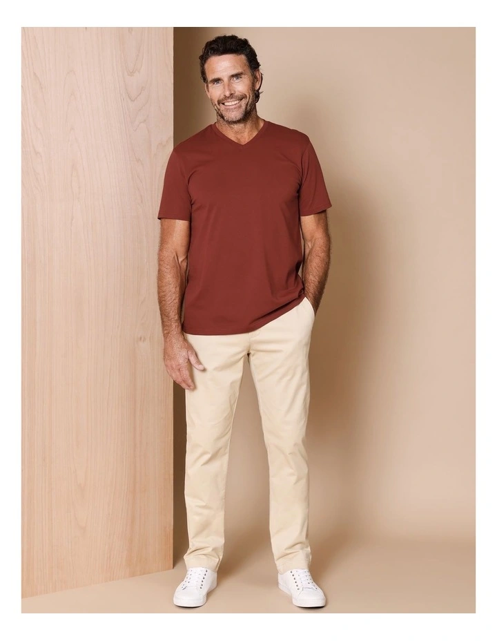 Brixton Plain V-Neck T-Shirt in Rust image 3