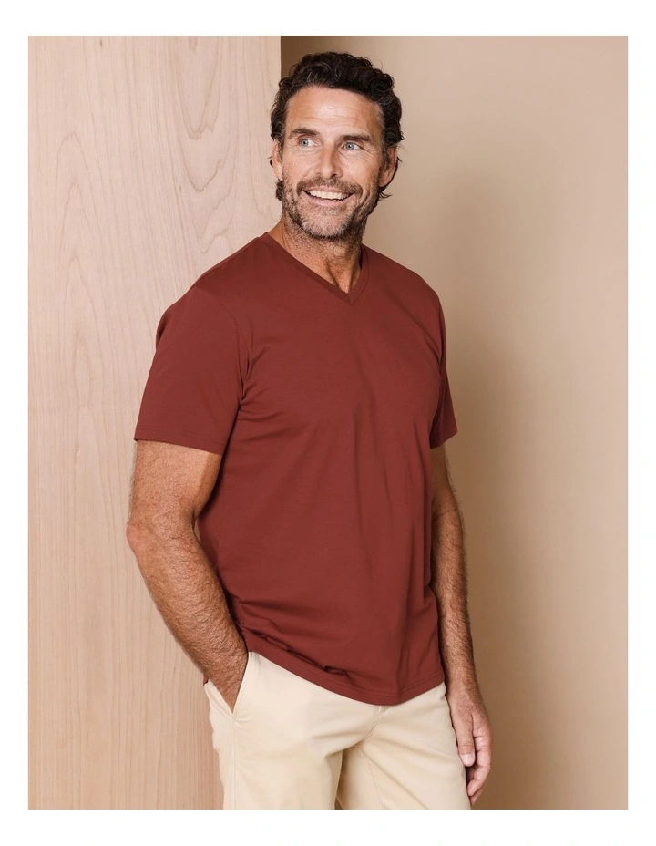 Brixton Plain V-Neck T-Shirt in Rust image 5