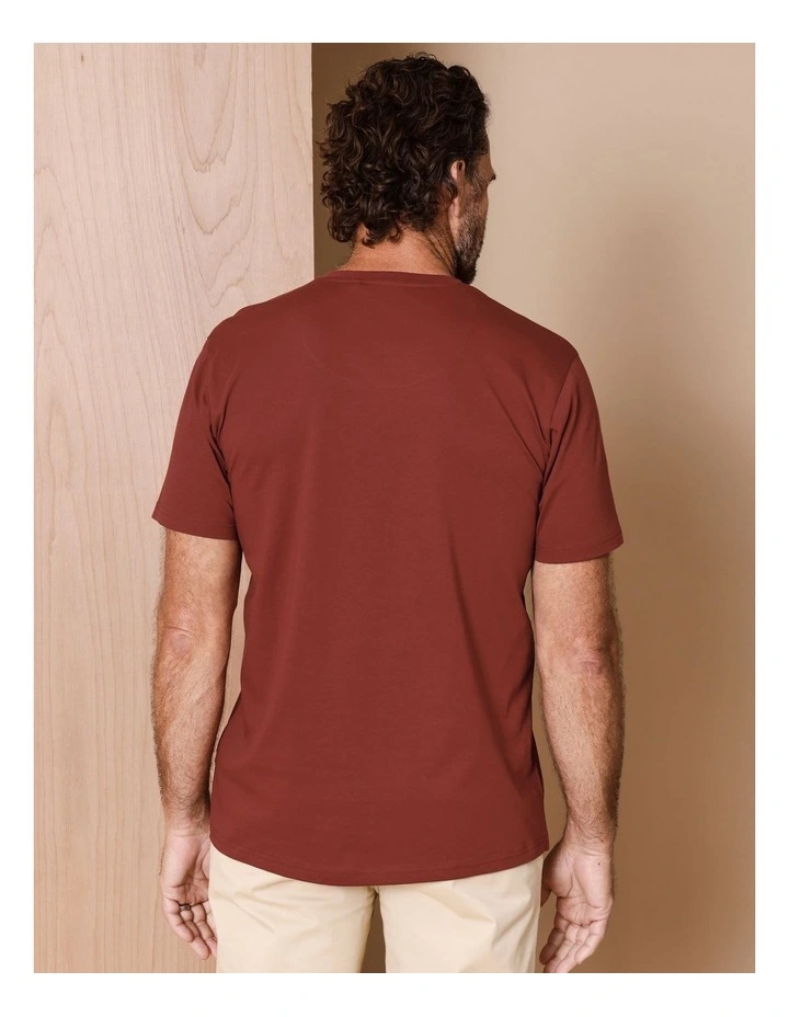 Brixton Plain V-Neck T-Shirt in Rust image 6