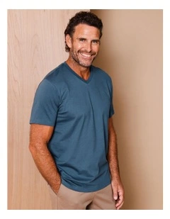 Brixton Plain V-Neck T-Shirt in Mid Blues