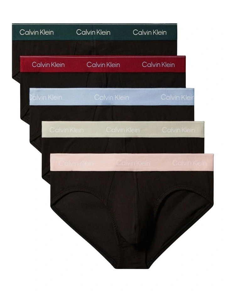 Icon Cotton Briefs 5 Pack in Multi image 1
