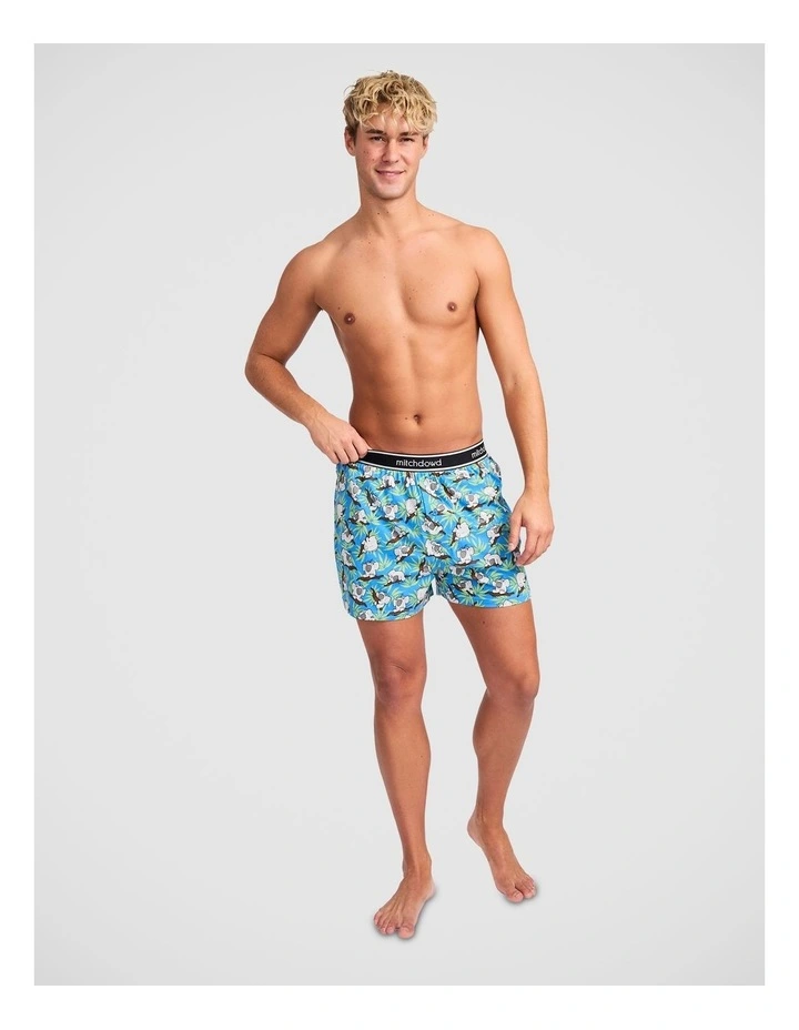 Slothful Koala Knit Boxer image 5