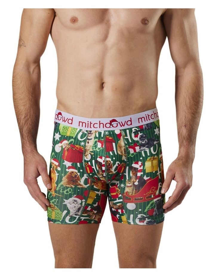 Eco HoHo Christmas Dogs Recycled Comfort Trunk in Multi Assorted