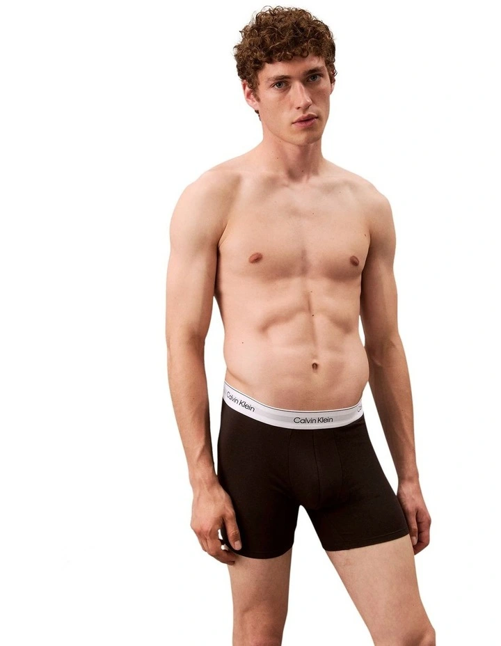 Icon Cotton Briefs 3 Pack in Multi image 4