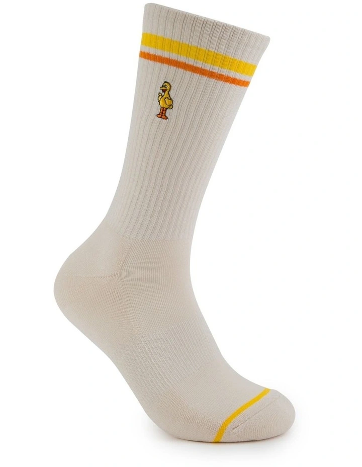 Big Bird Sneaker Socks 2 Pack in Multi image 5
