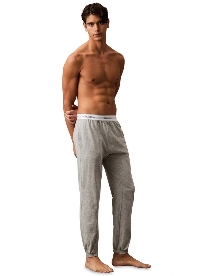 Icon Cotton Stretch Sleep Jogger in Grey image 3