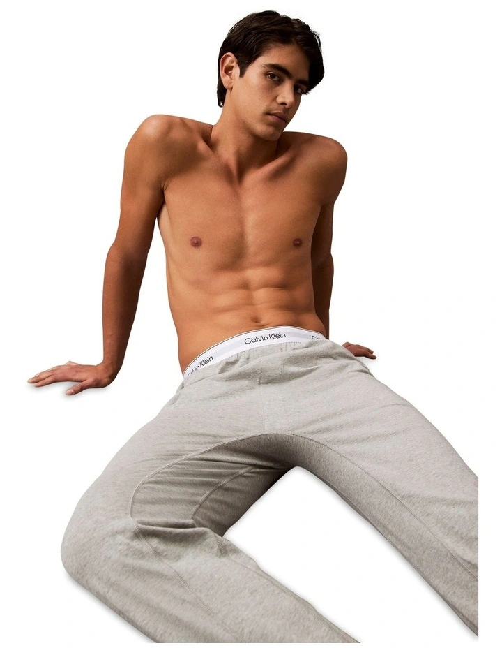 Icon Cotton Stretch Sleep Jogger in Grey image 4