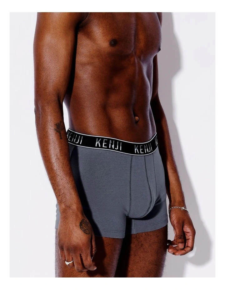 3 Pack Plain Trunks in Going Neutral image 3