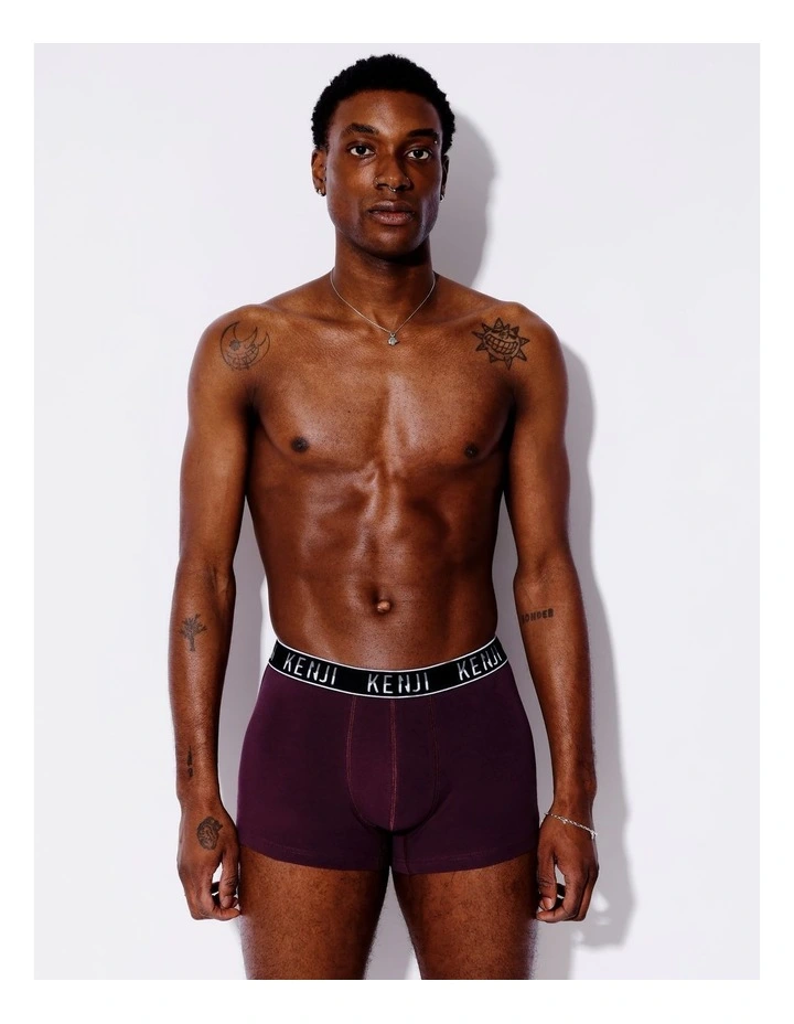 3 Pack Plain Trunks in Afternoon Skies image 5