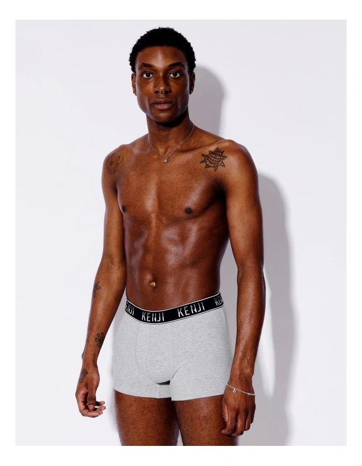 3 Pack Plain Trunks in Hardcore image 2