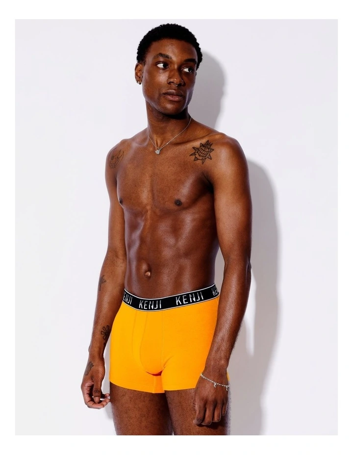 3 Pack Fashion Trunks in Tropics image 5