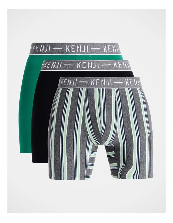 3 Pack Long Leg Stripe Trunks Forest Walk in Assorted image 1