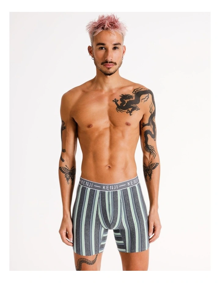 3 Pack Long Leg Stripe Trunks Forest Walk in Assorted image 2