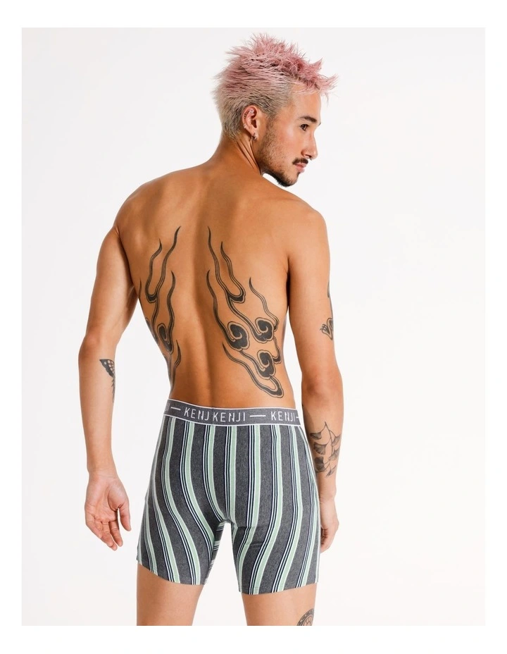 3 Pack Long Leg Stripe Trunks Forest Walk in Assorted image 4